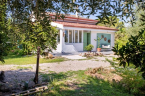 Il Paradiso degli Ulivi